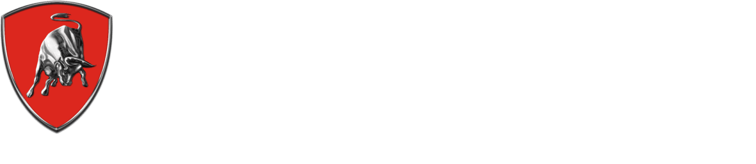 Tonino lamborghini logo